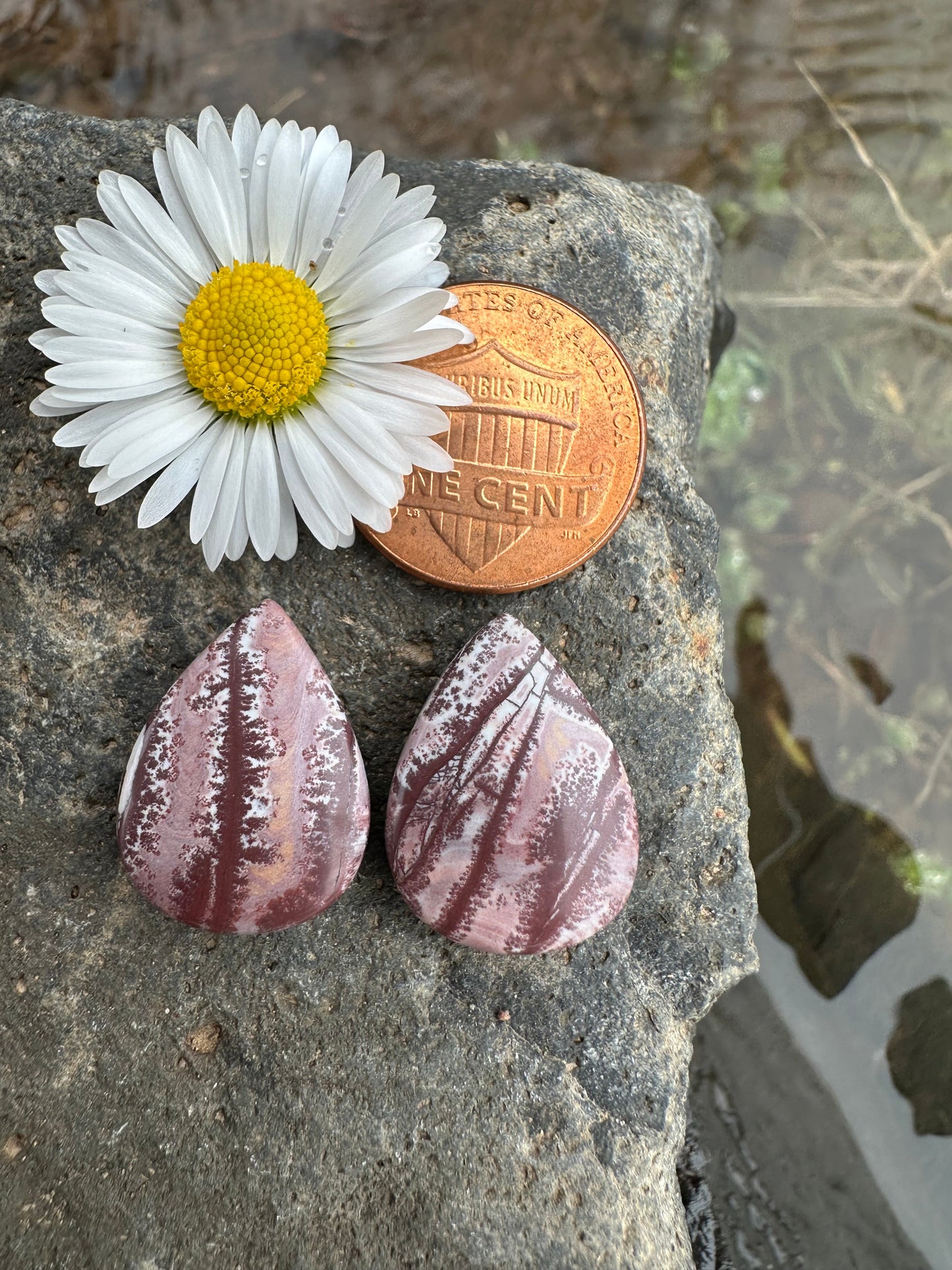 Sonoran Dendritic Rhyolite Earring Pair Cabochons