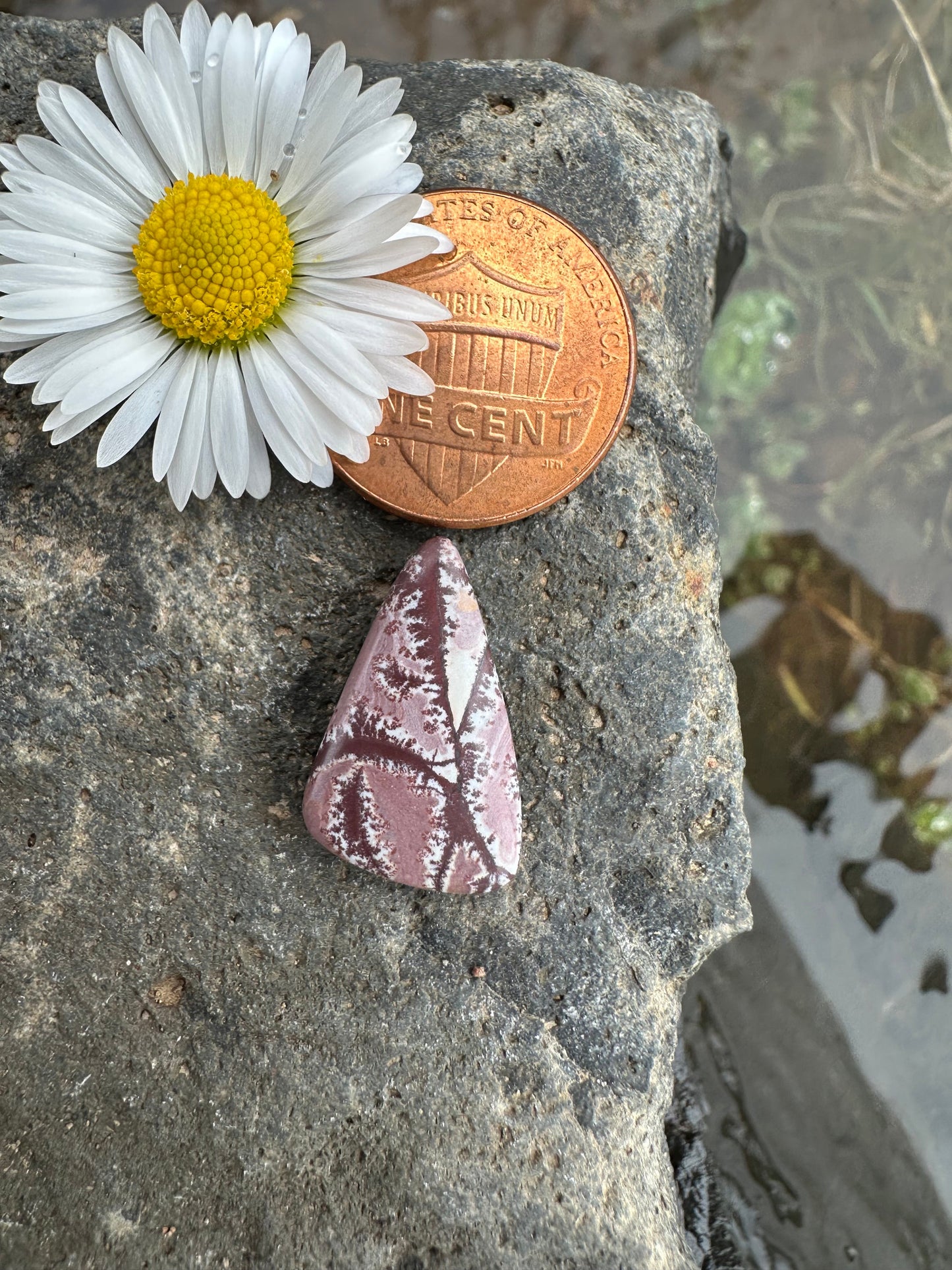 Sonoran Dendritic Rhyolite Cabochon