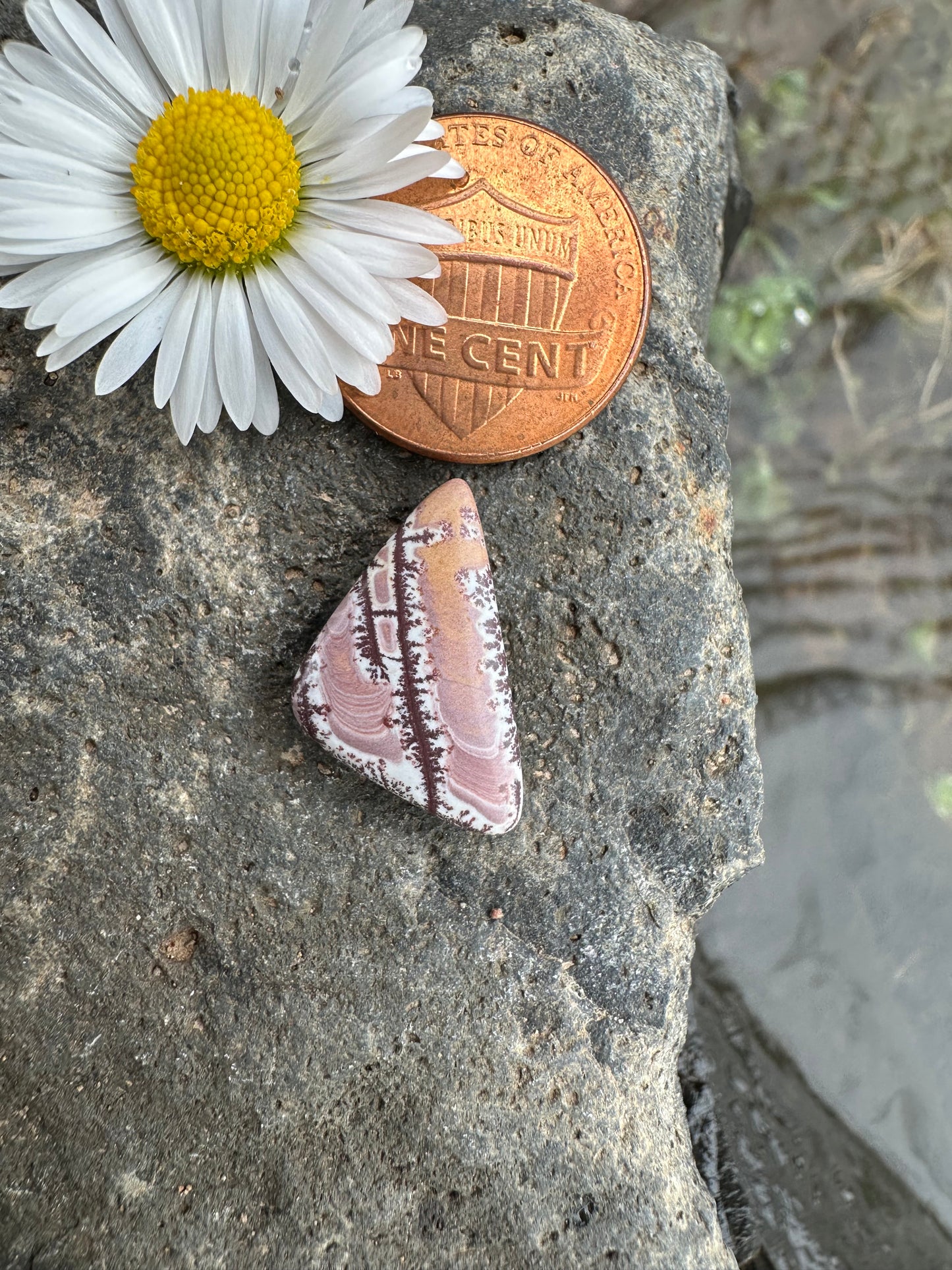Sonoran Dendritic Rhyolite Cabochon