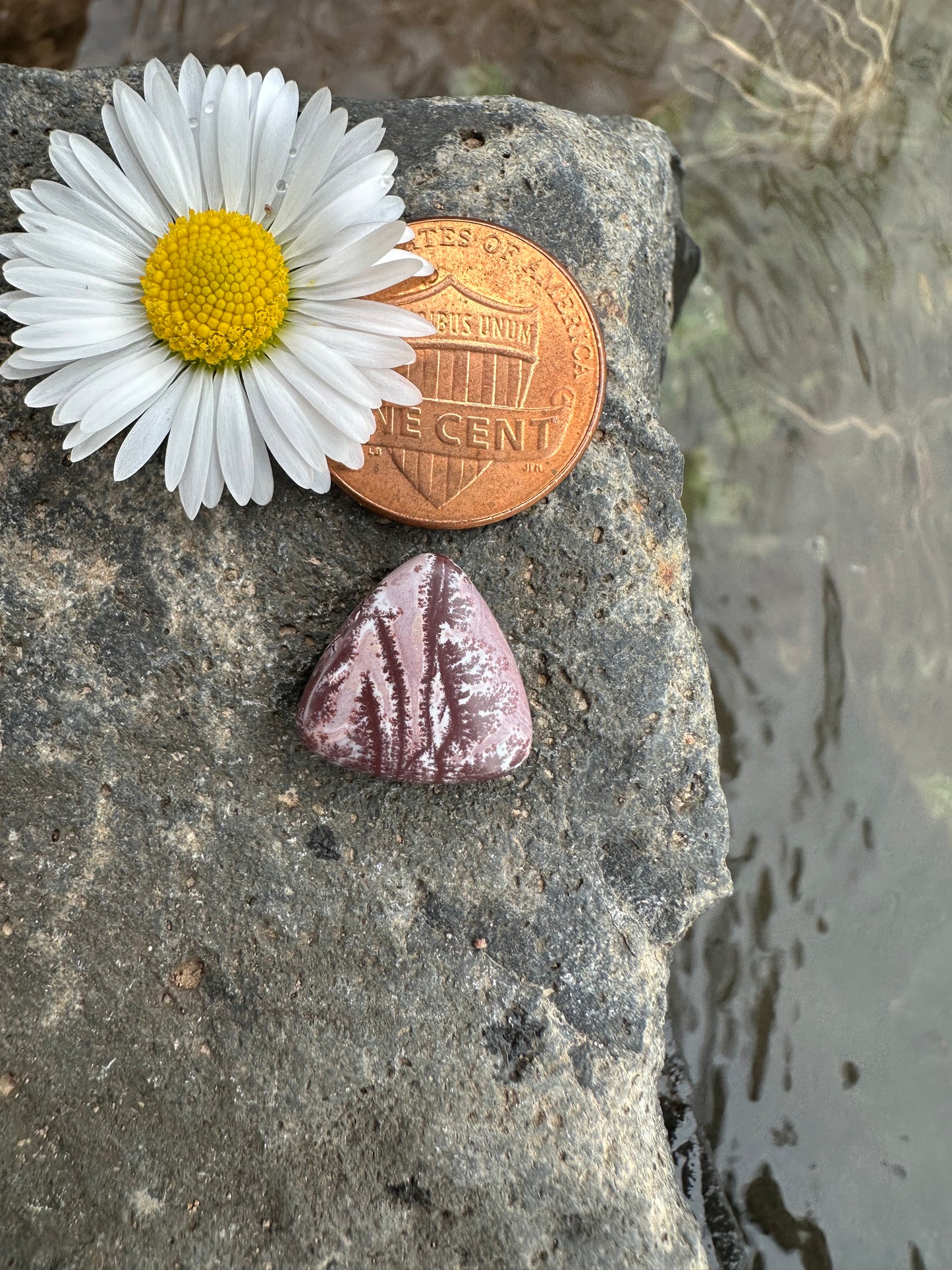 Sonoran Dendritic Rhyolite Cabochon