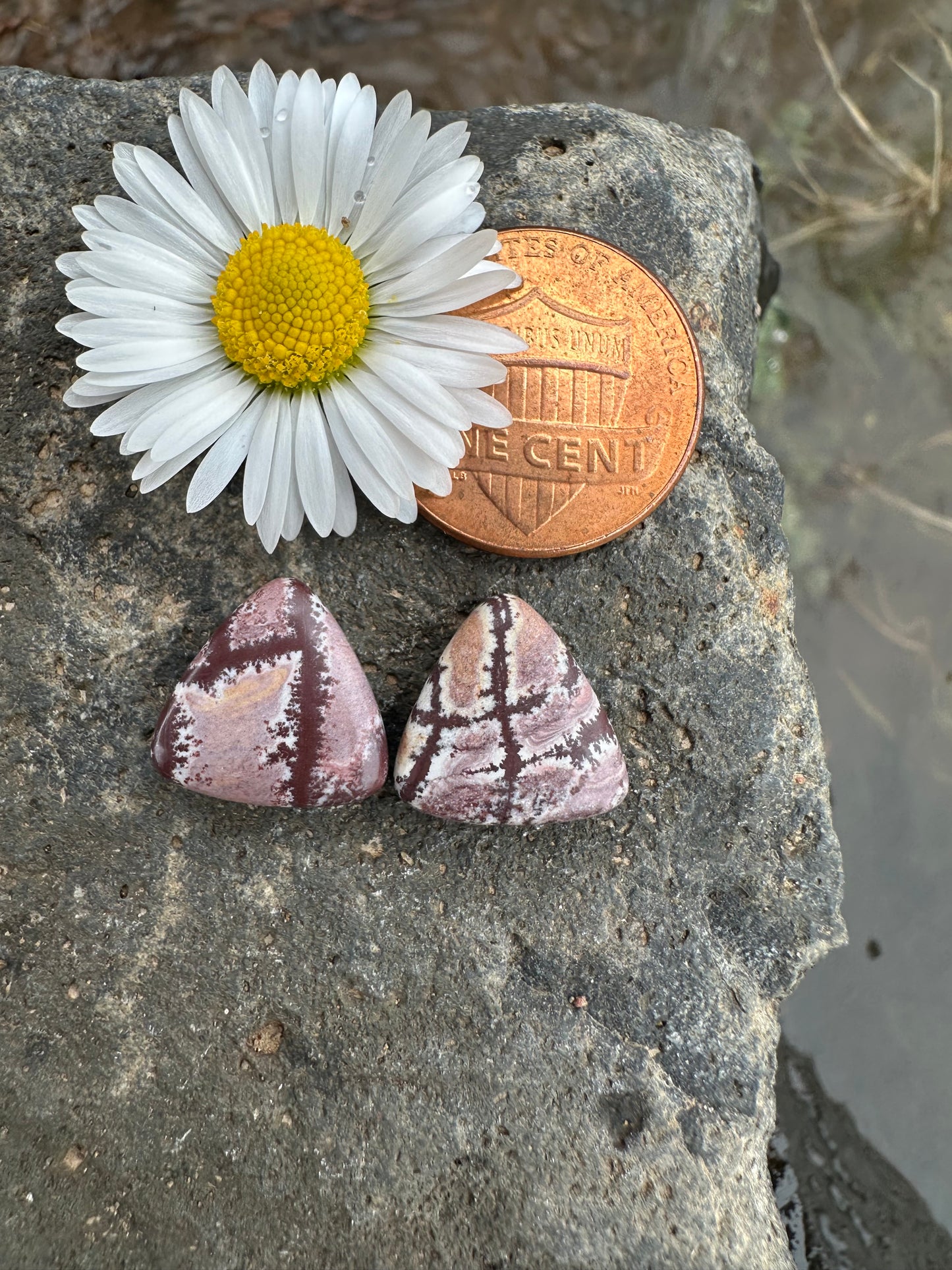 Sonoran Dendritic Rhyolite Earring Pair Cabochons