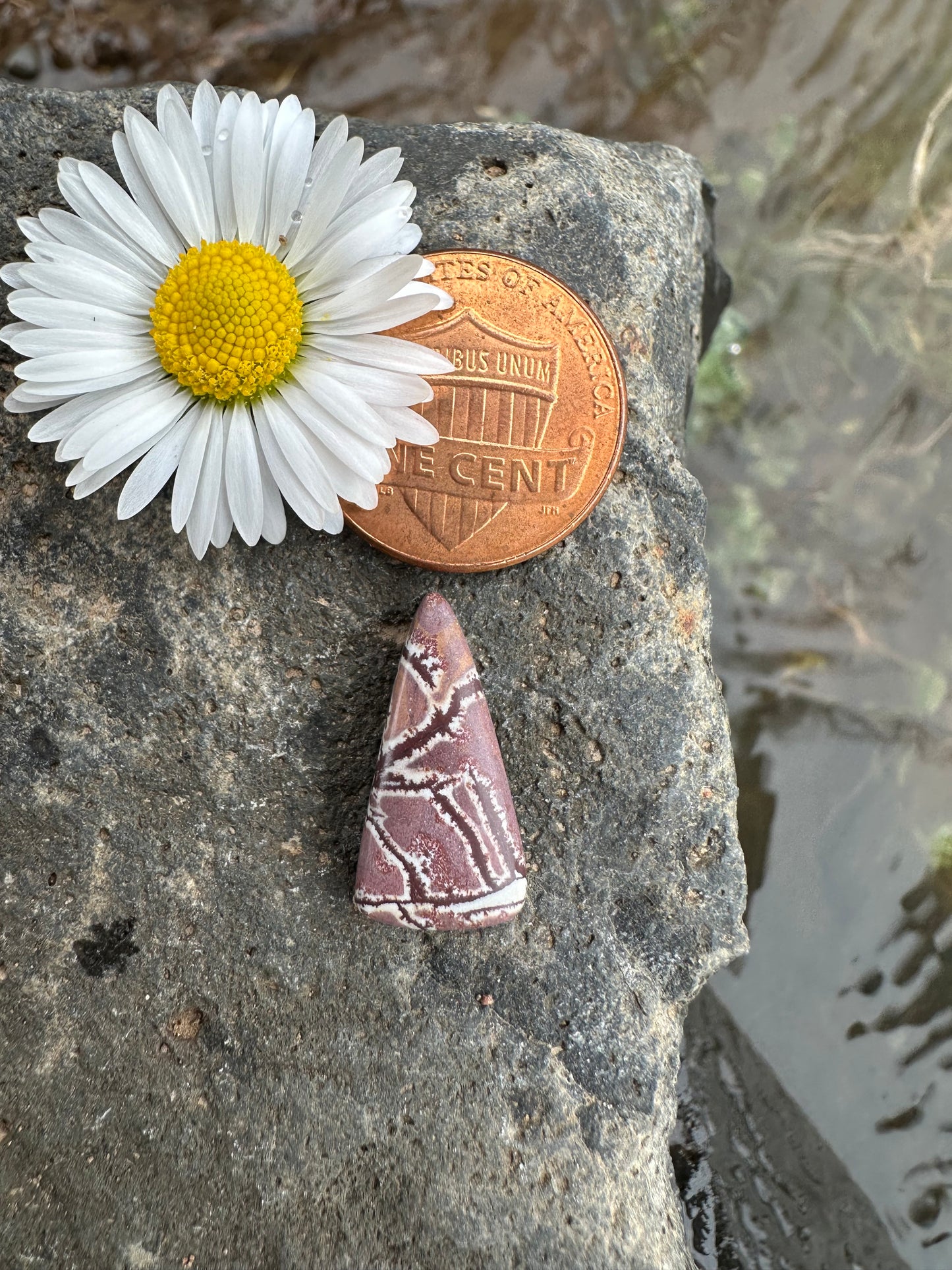 Sonoran Dendritic Rhyolite Cabochon