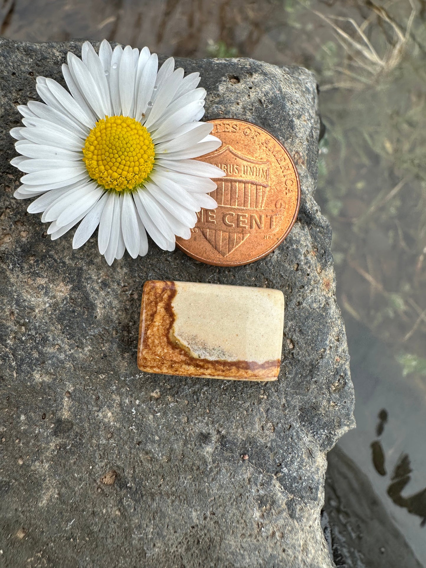 Chicken Track Jasper Cabochon