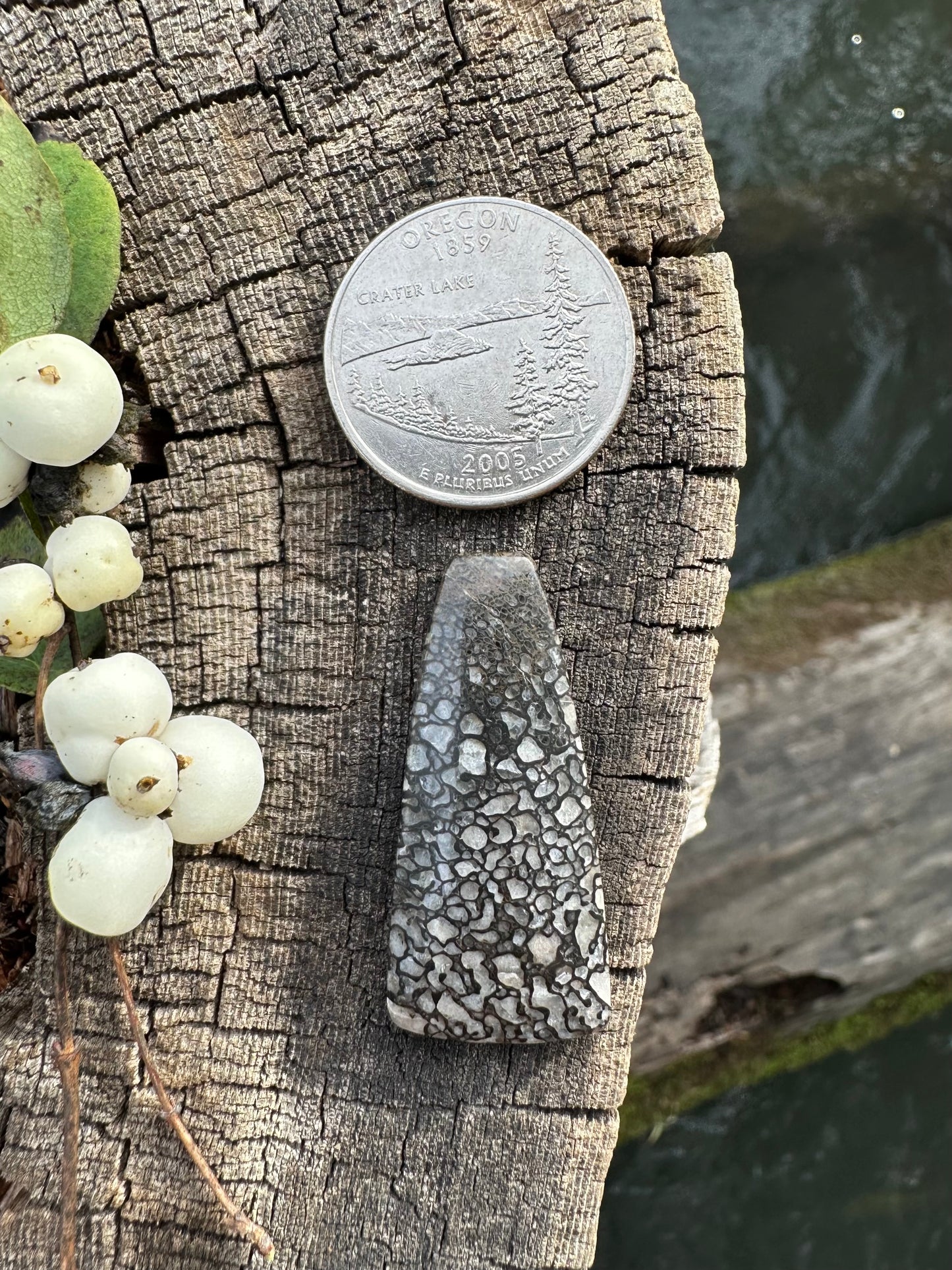 Dino Bone Cabochon