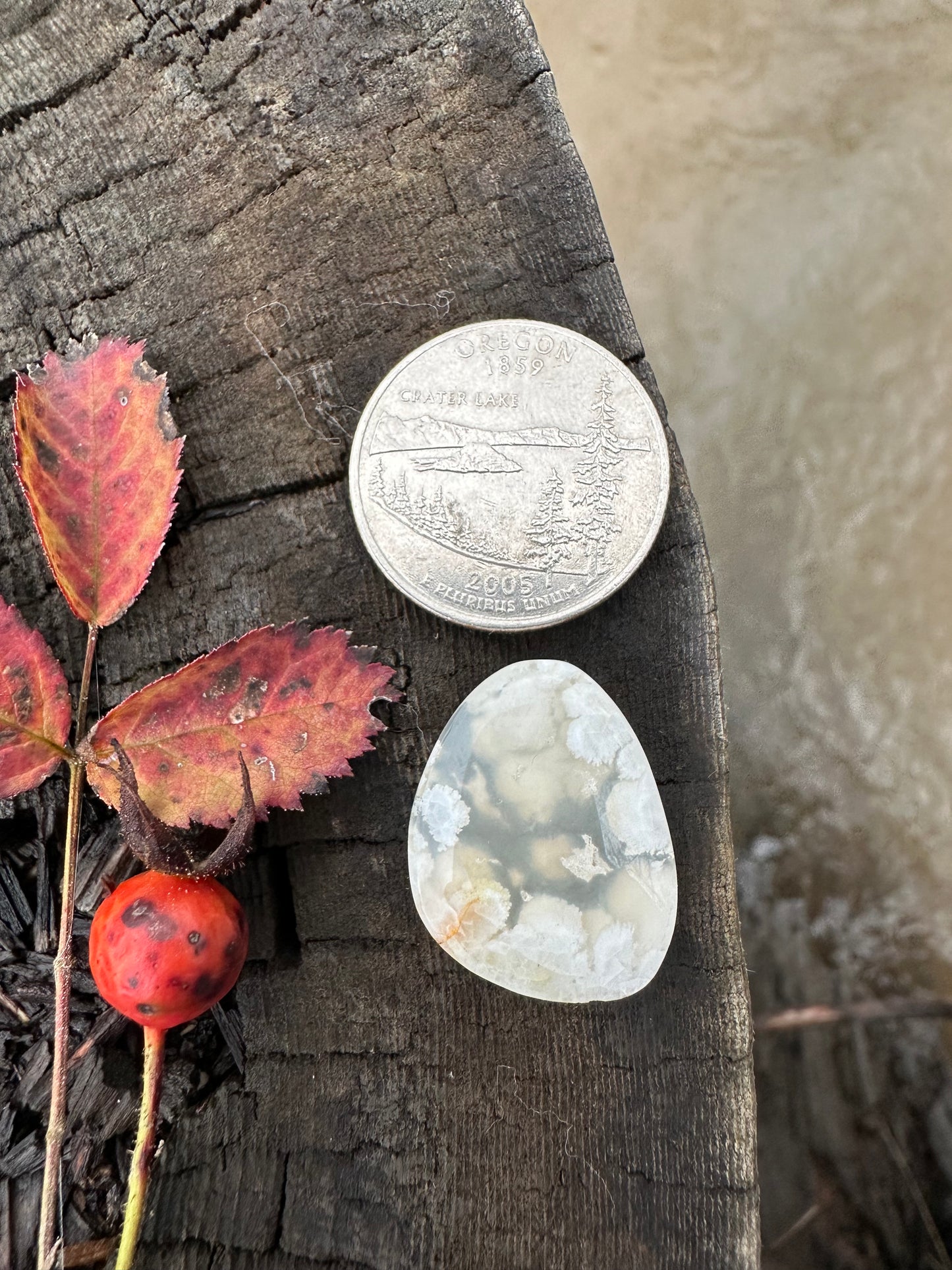 Stinking Water Plume Agate