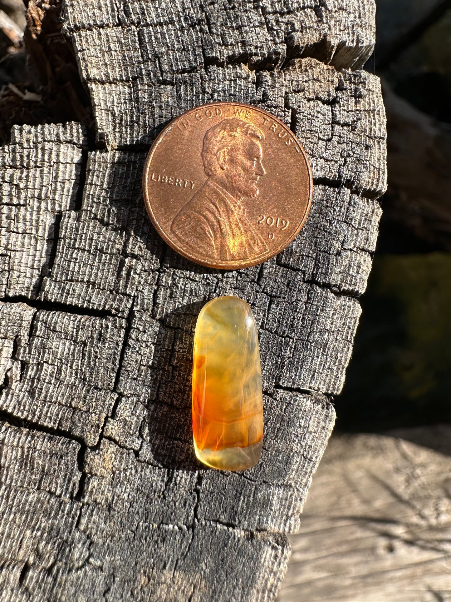 Cornflake Carnelian Cabochon