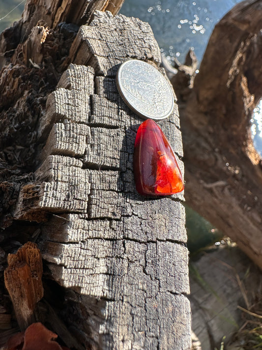 Cornflake Carnelian Cabochon