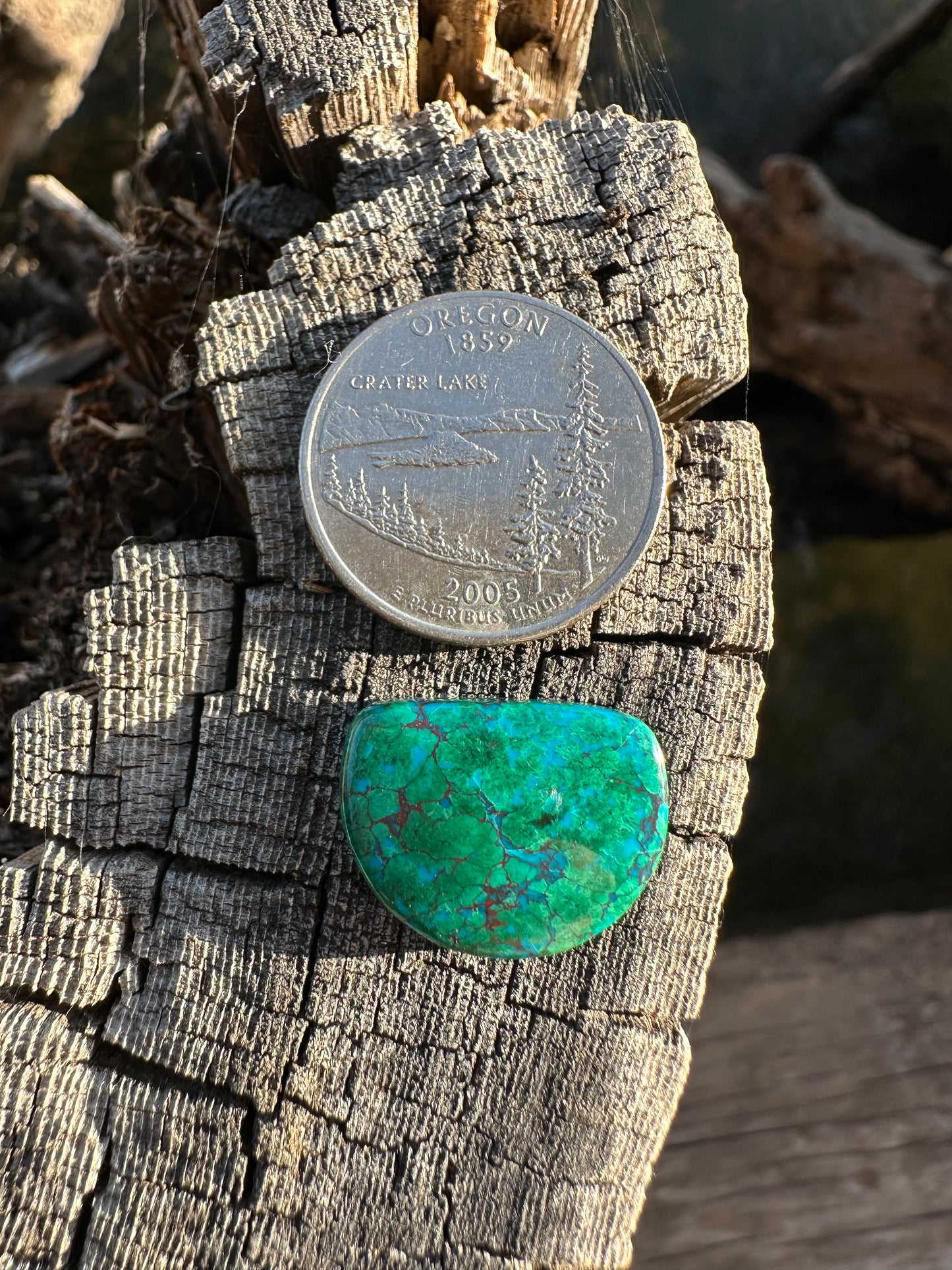 Chilean Webbed Chrysocolla Cabochon