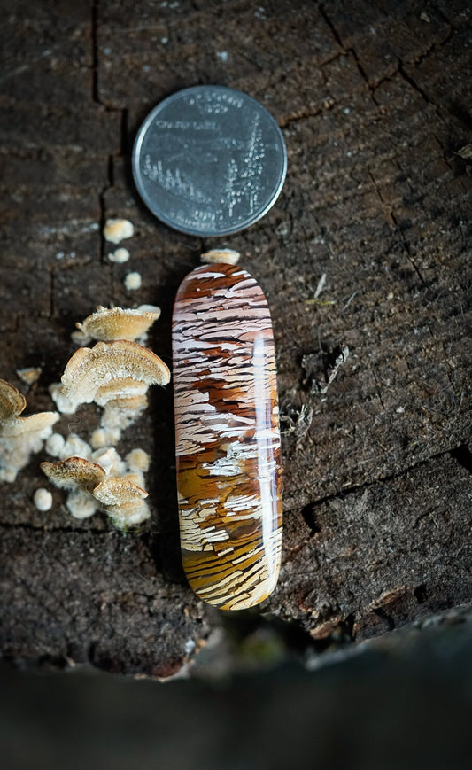 Howardite -Statement Size- Cabochon