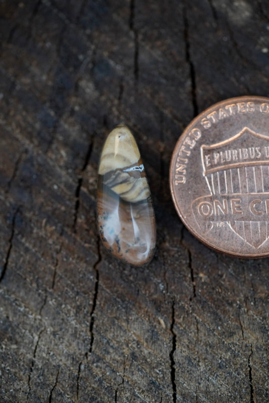 Deschutes Jasper Cabochon