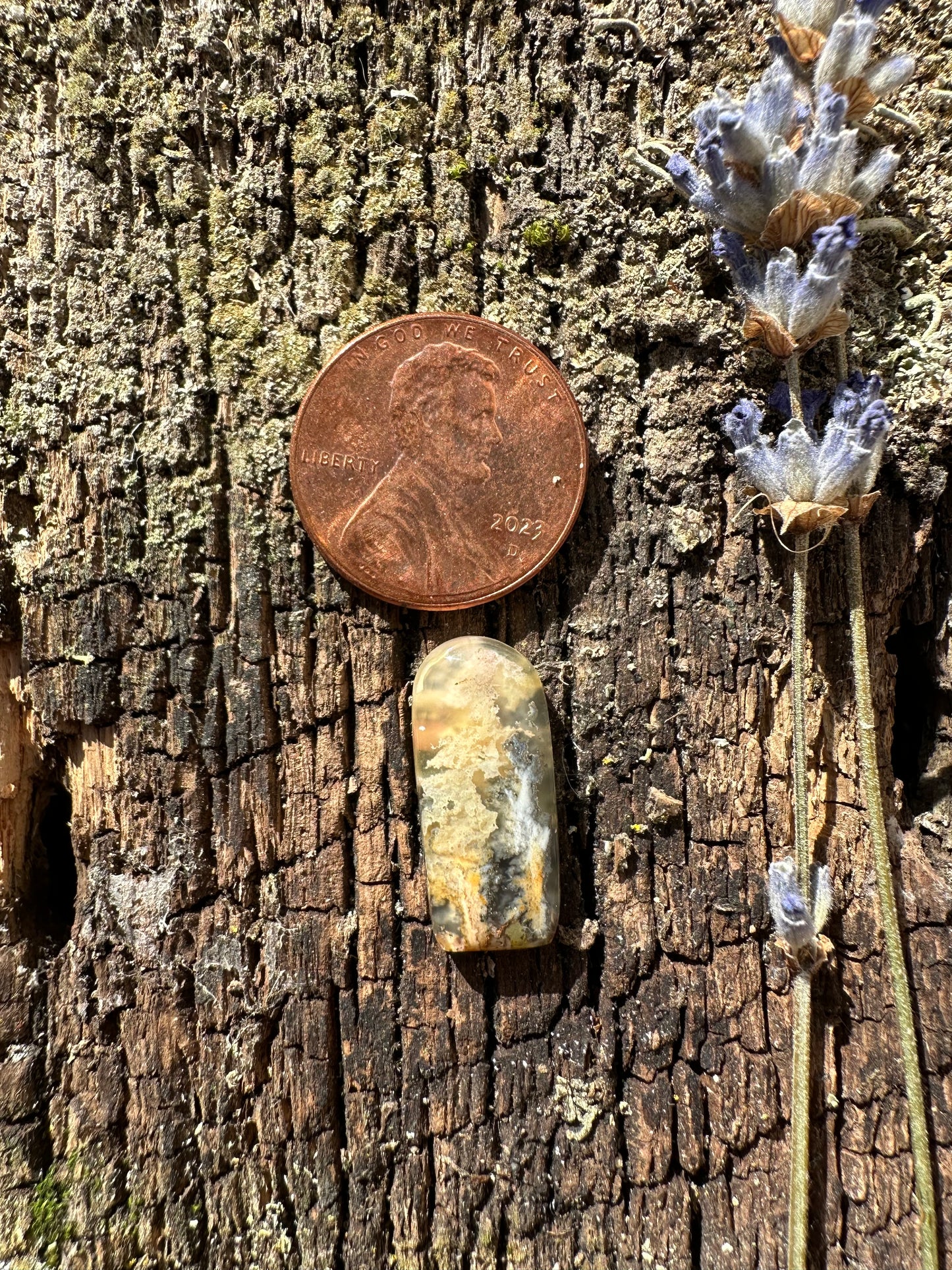 Graveyard Point Plume Agate Cabochon B
