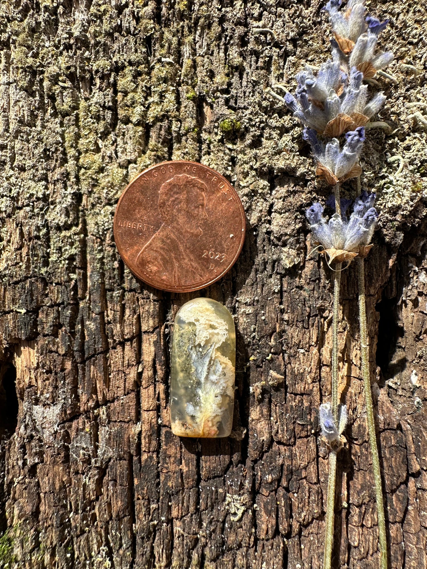 Graveyard Point Plume Agate Cabochon A