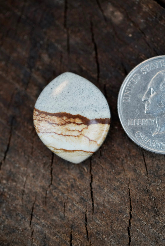 Chicken Track Jasper Cabochon