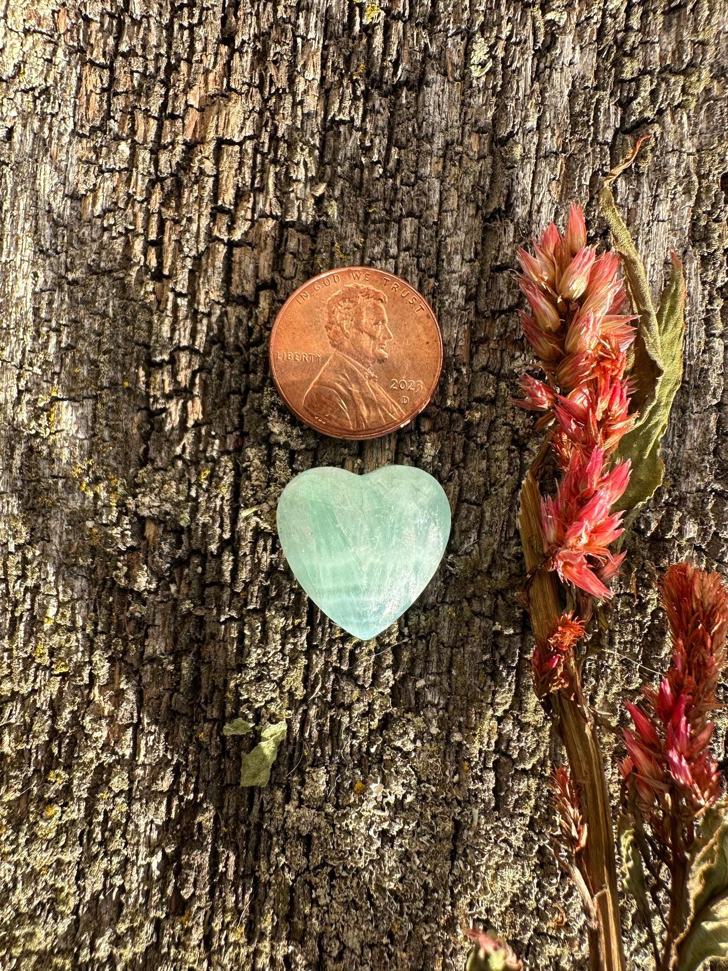 Caribbean Blue Aragonite Cabochon