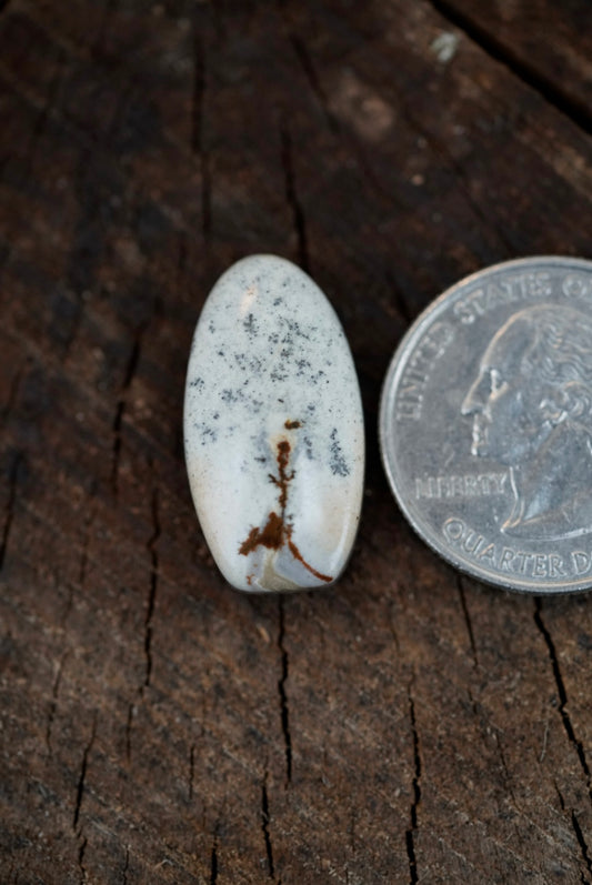 Chicken Track Jasper Cabochon