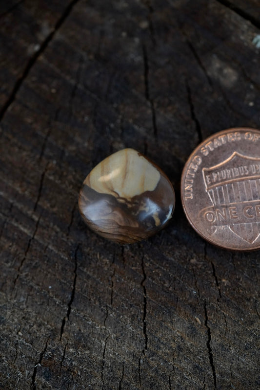 Deschutes Jasper Cabochon