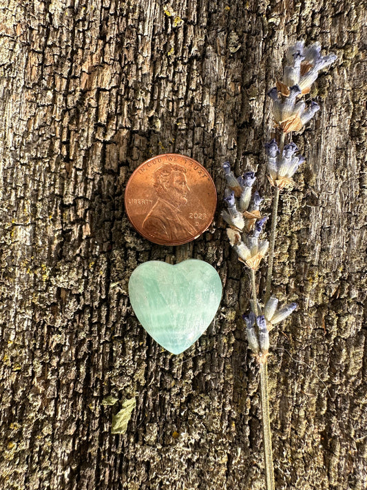 Caribbean Blue Aragonite Cabochon