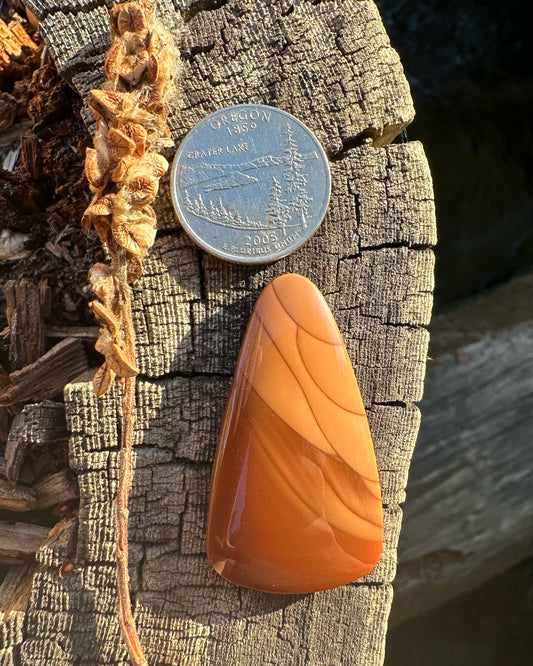 Bruneau Jasper Cabochon