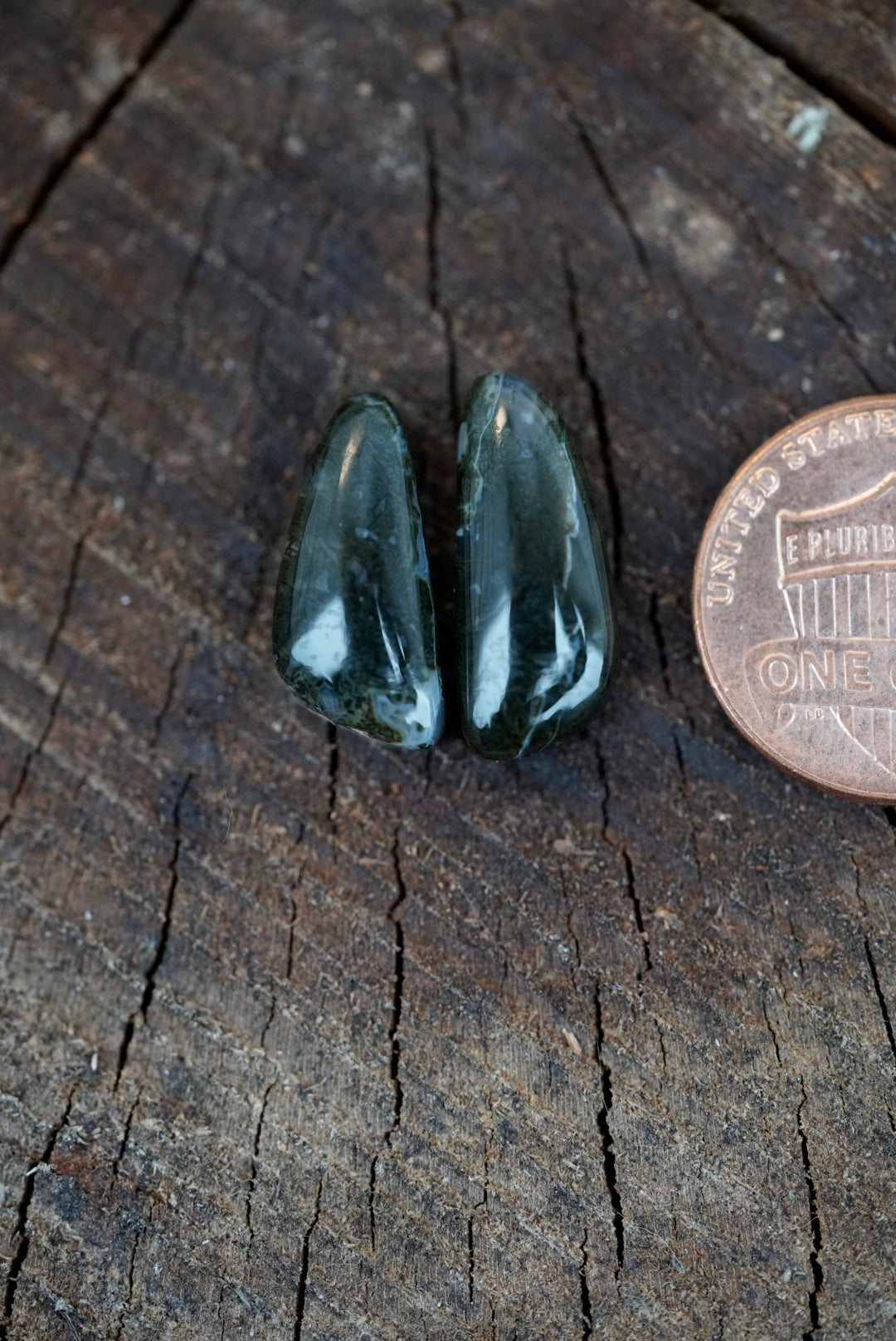 Ochoco Moss Agate - Mismatch Cabochon Pair