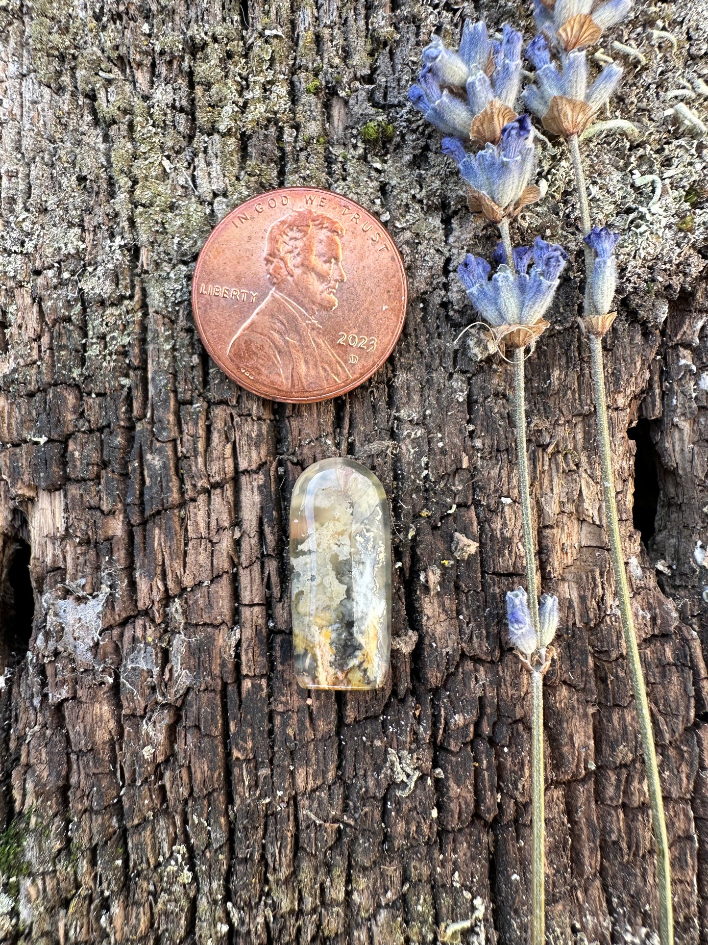 Graveyard Point Plume Agate Cabochon B