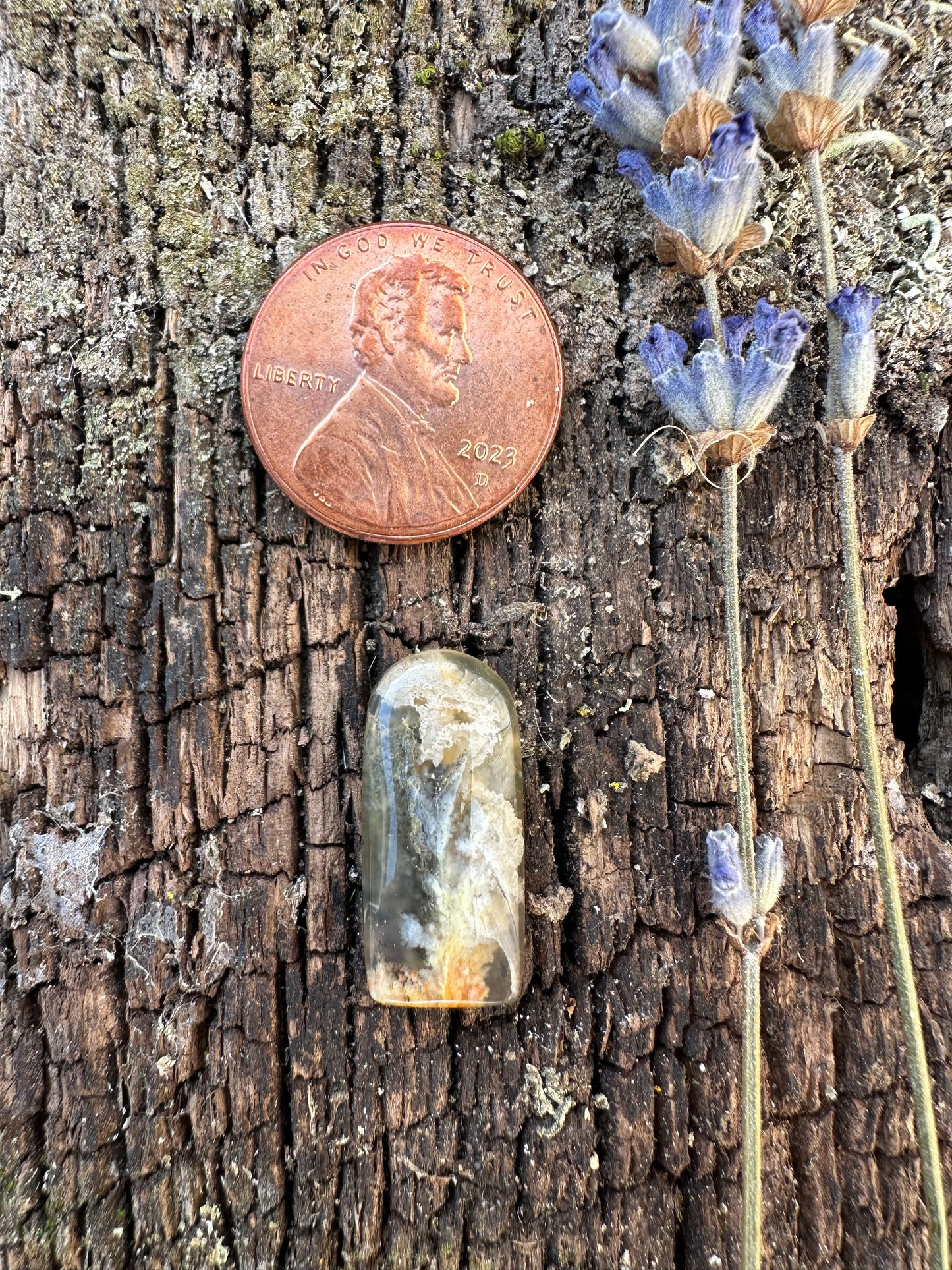 Graveyard Point Plume Agate Cabochon A