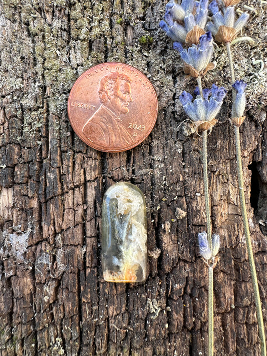 Graveyard Point Plume Agate Cabochon A
