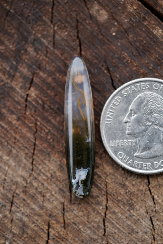 Ochoco Moss Agate Cabochon