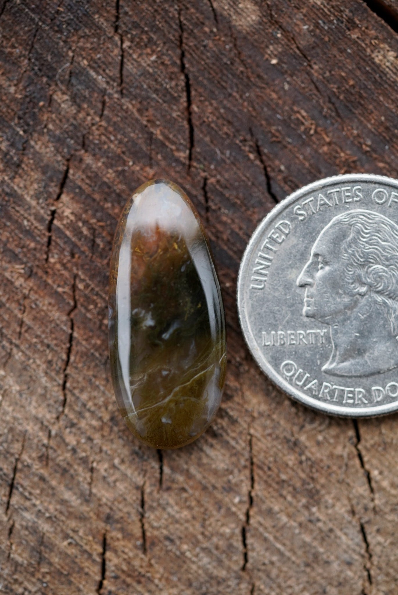 Ochoco Moss Agate Cabochon