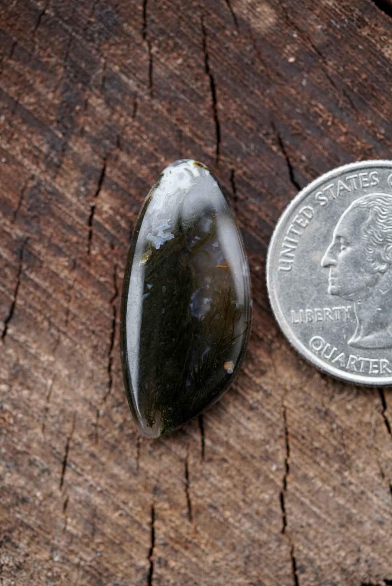 Ochoco Moss Agate Cabochon
