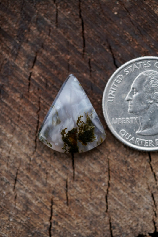 Ochocho Moss Agate Cabochon