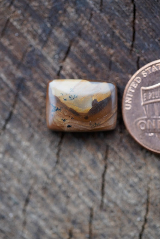 Deschutes Jasper Cabochon
