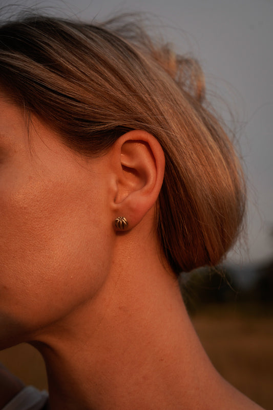 Pumpkin Studs