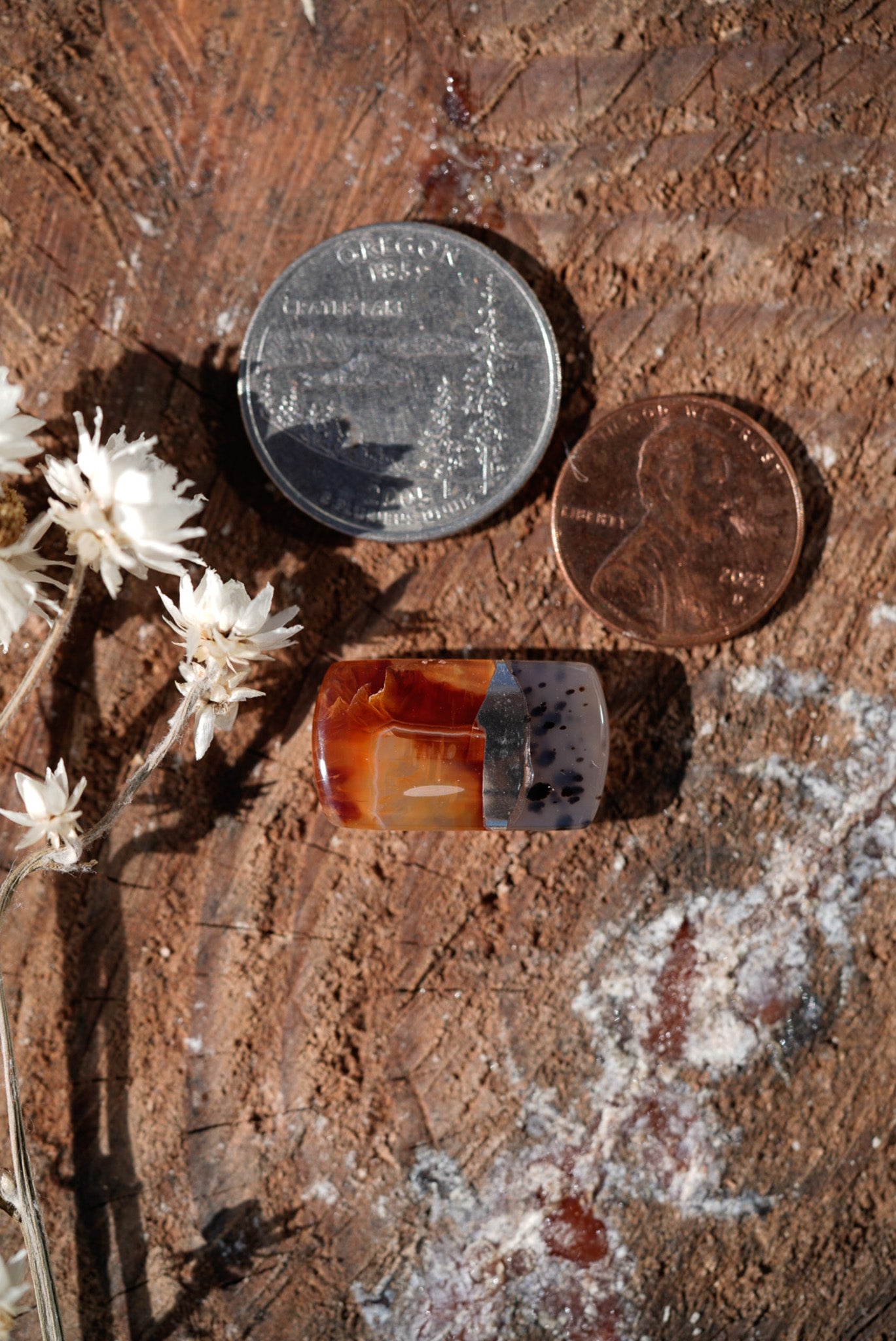 Kintarsia Cabochon - "Medium" No.6