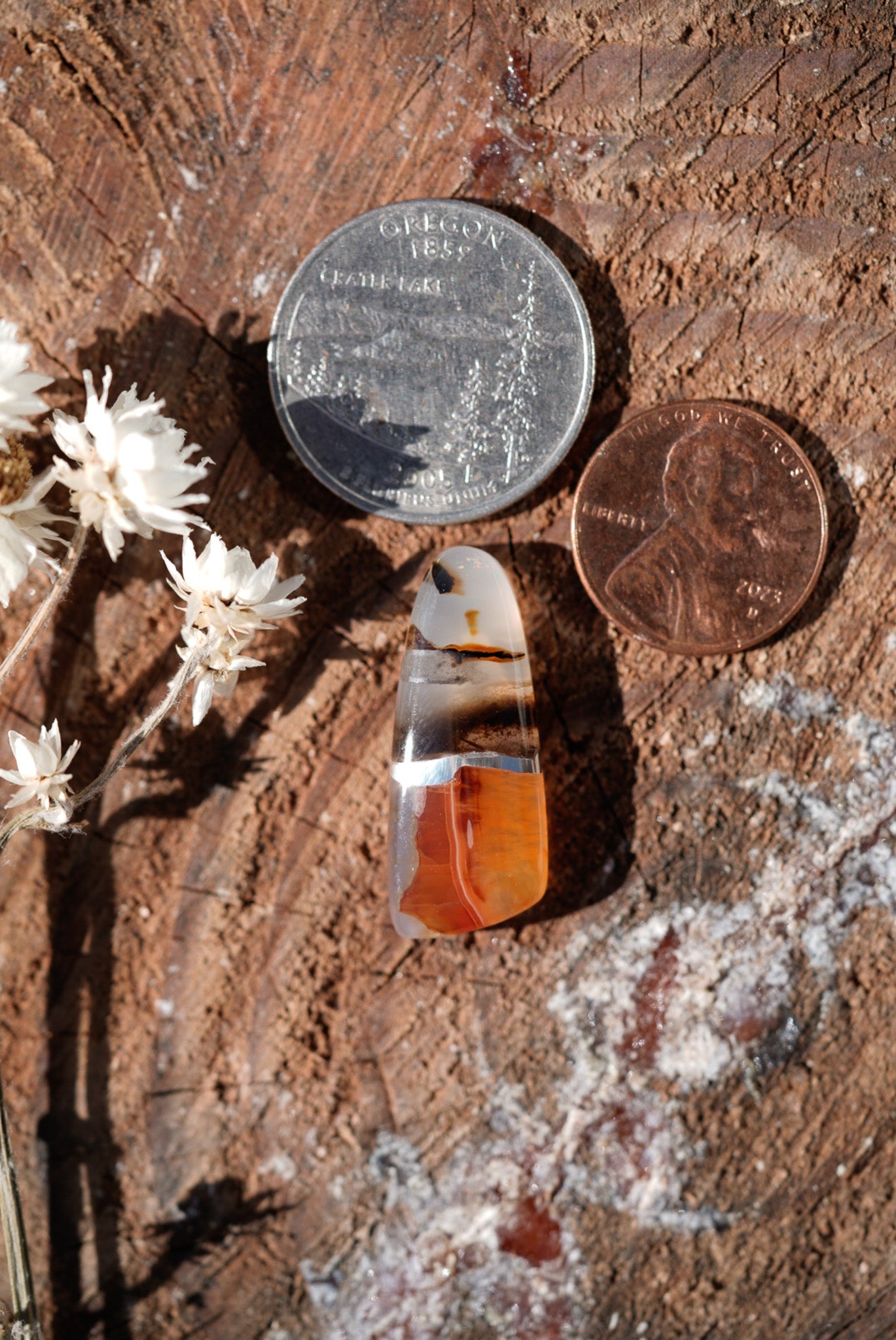 Kintarsia Cabochon - "Medium" No.8