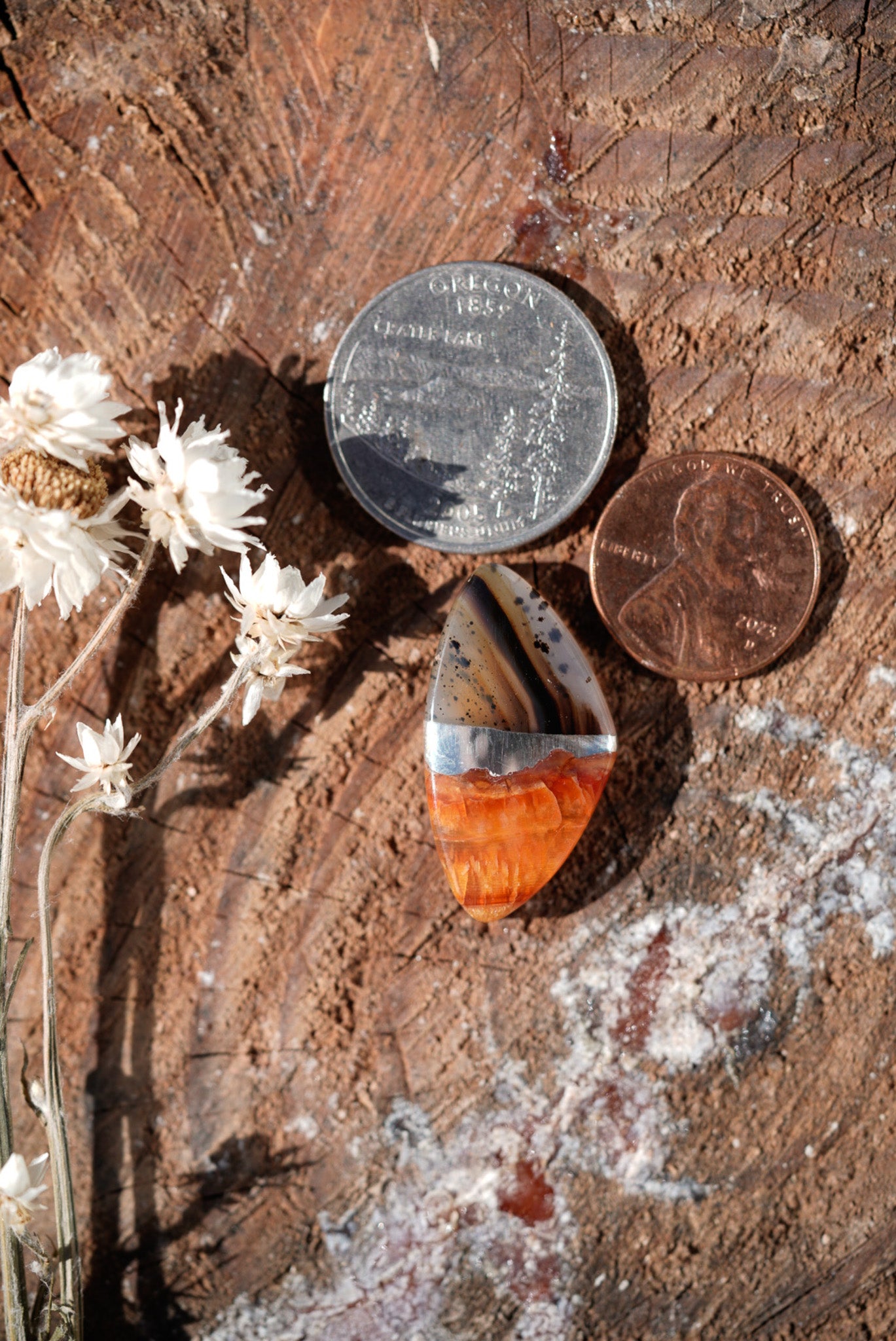 Kintarsia Cabochon - "Medium" No.7