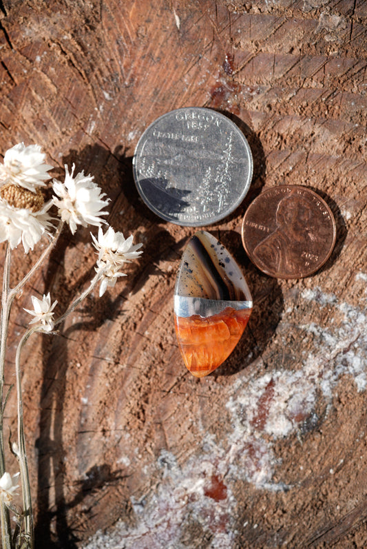 Kintarsia Cabochon - "Medium" No.7