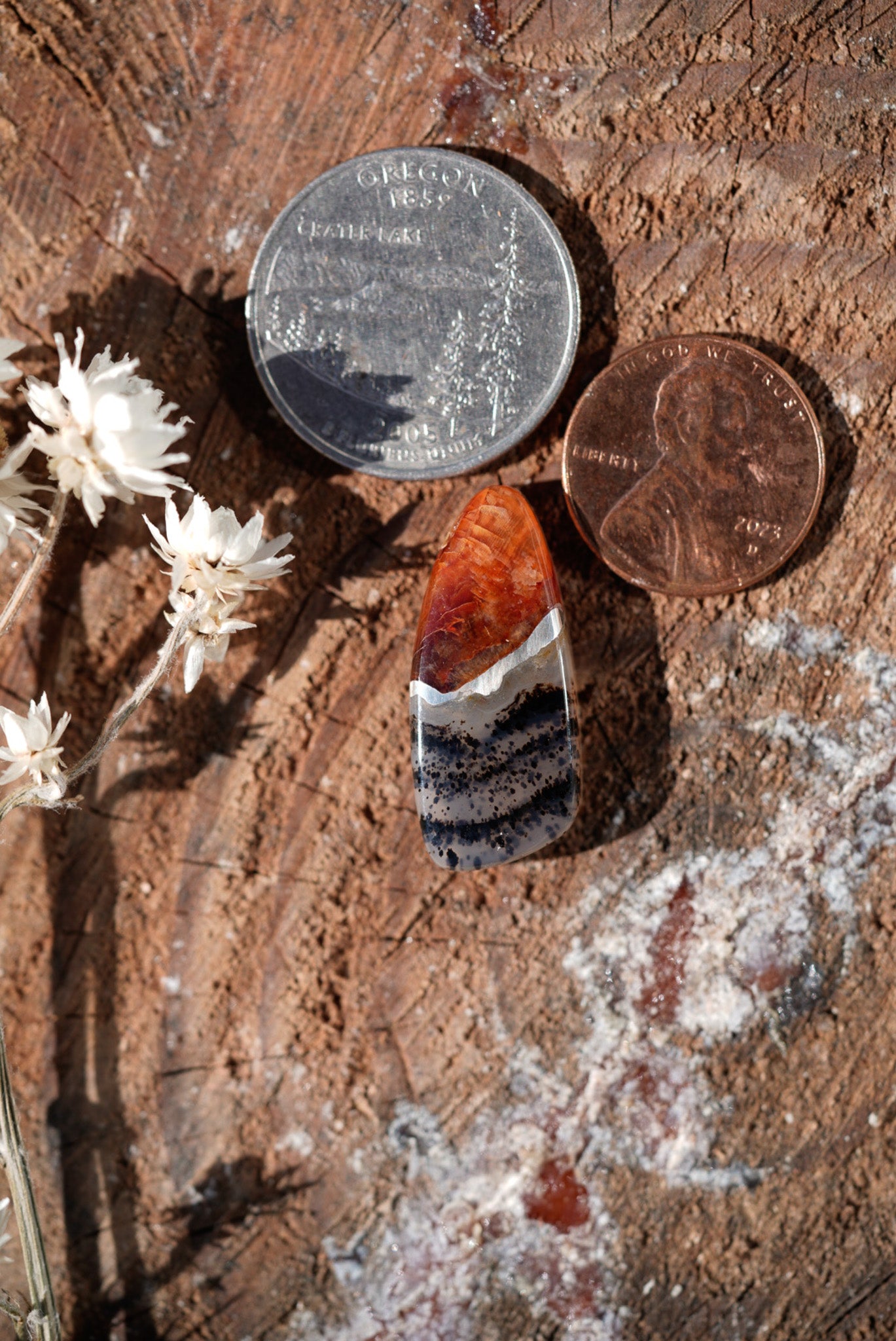 Kintarsia Cabochon - "Medium" No.3