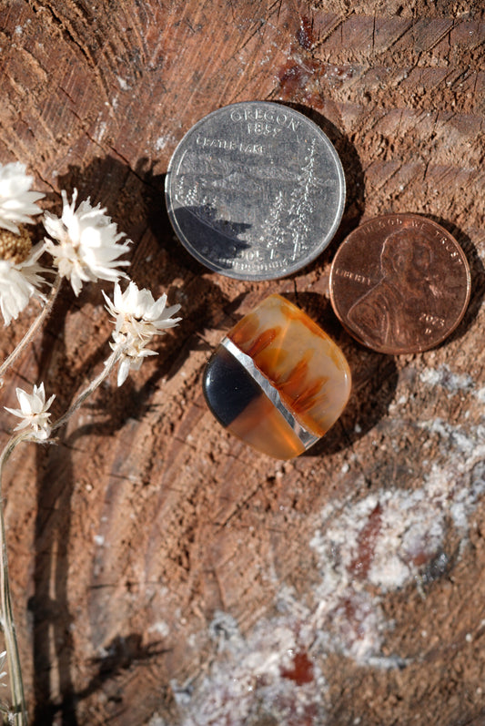 Kintarsia Cabochon - "Medium" No.5