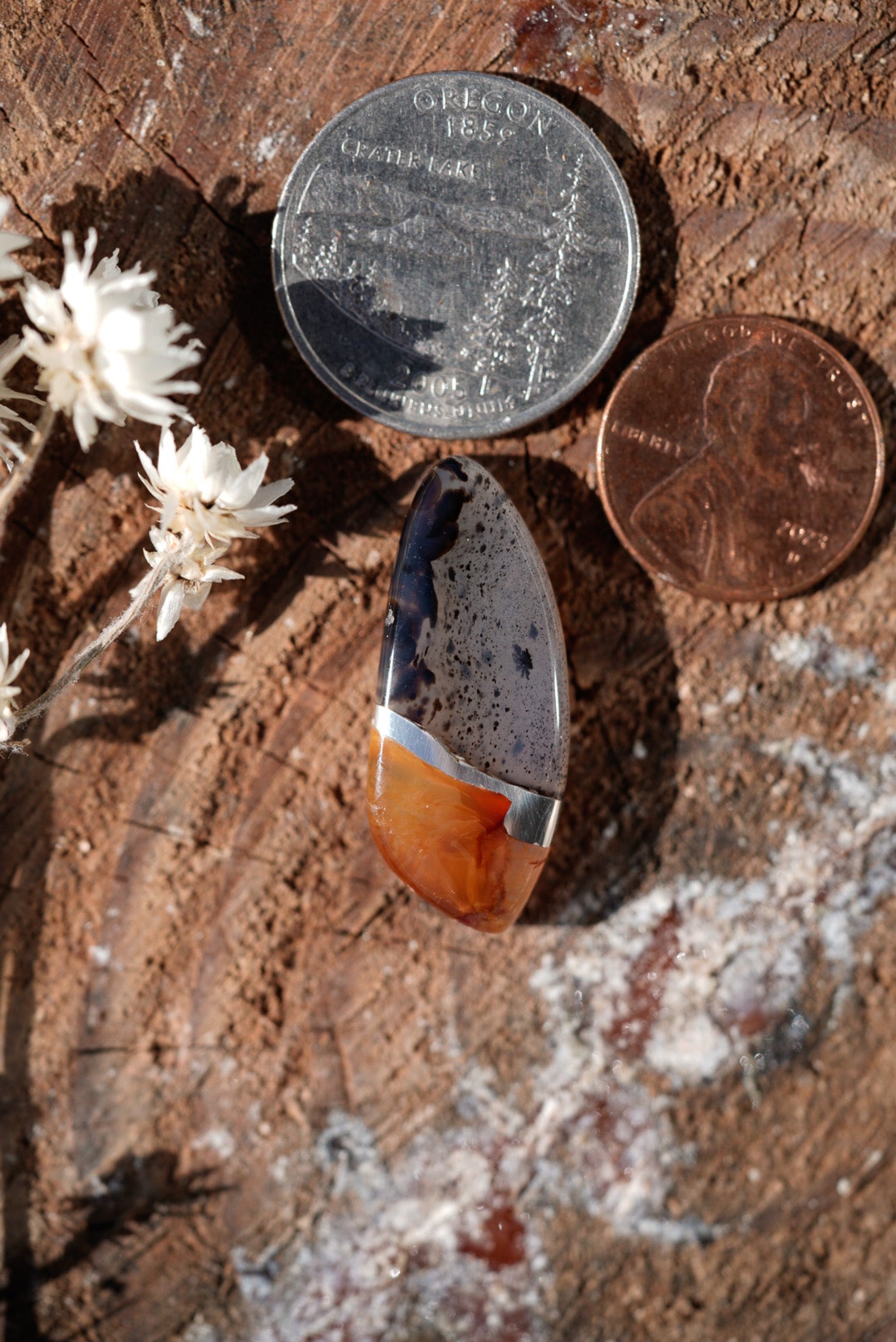 Kintarsia Cabochon - "Medium" No.1