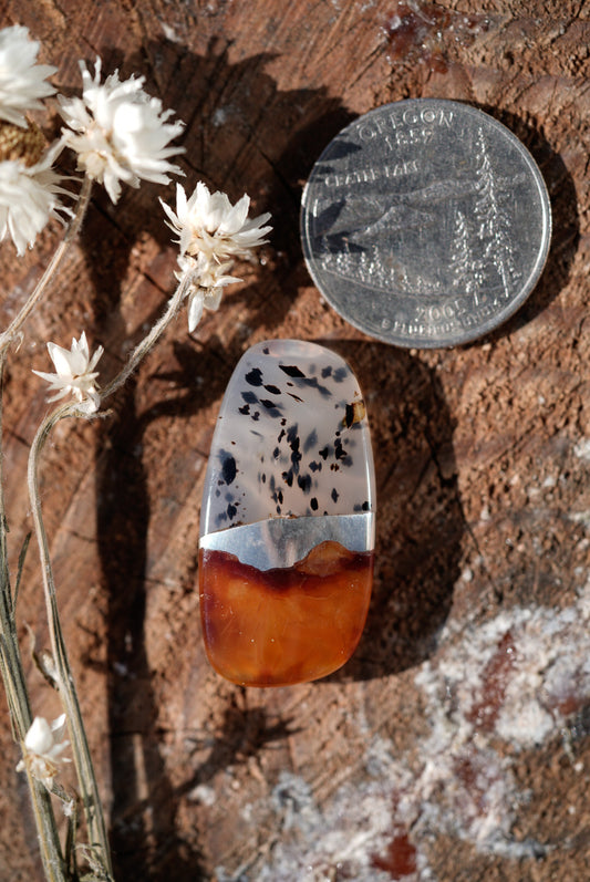 Kintarsia Cabochon - "Large" No.2