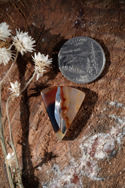 Kintarsia Cabochon - "Large" No.3