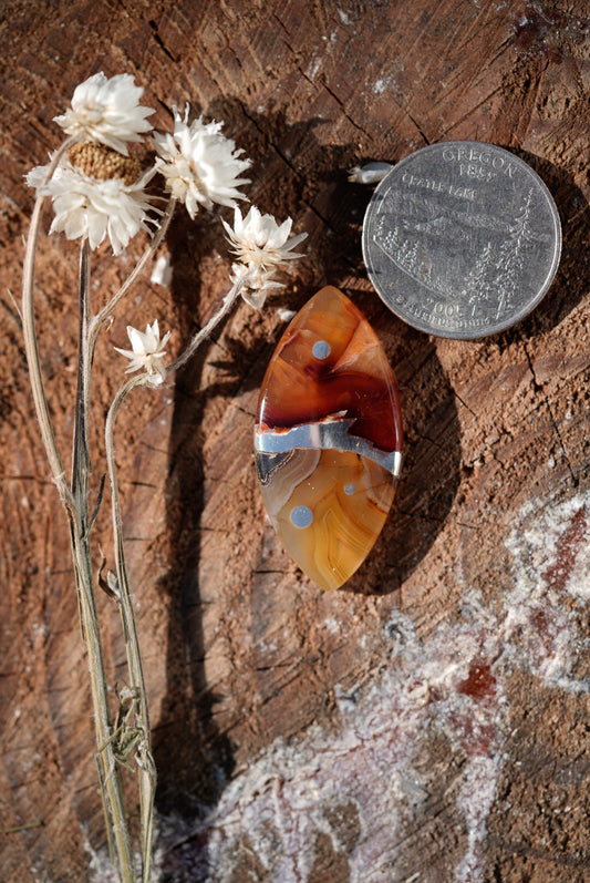 Kintarsia Cabochon - Polka Dot No.3