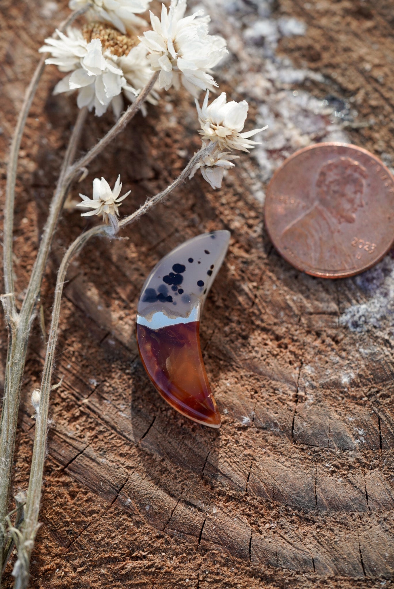 Kintarsia Cabochon - "Medium" No.2