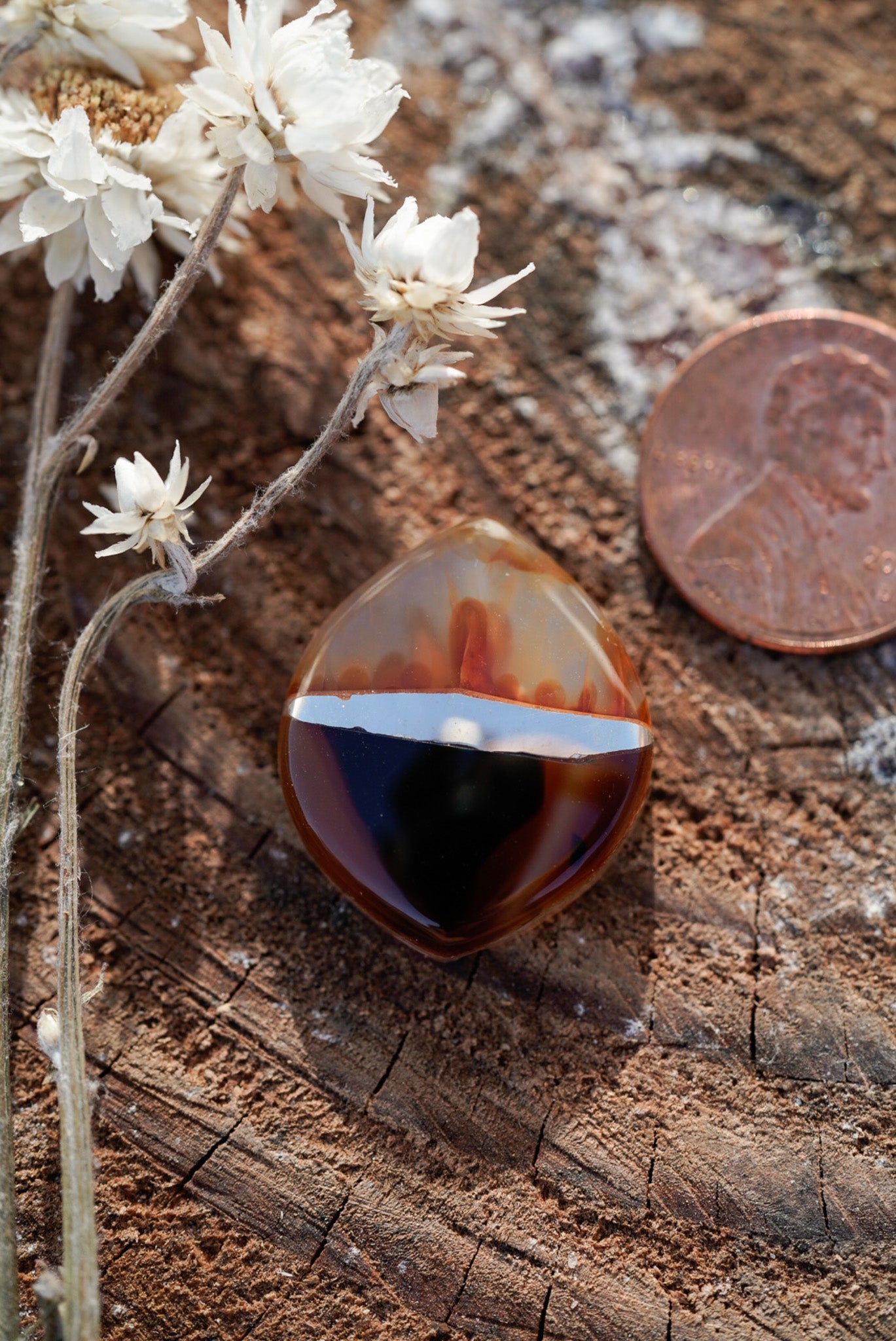 Kintarsia Cabochon - "Medium" No.4