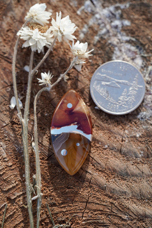 Kintarsia Cabochon - Polka Dot No.3