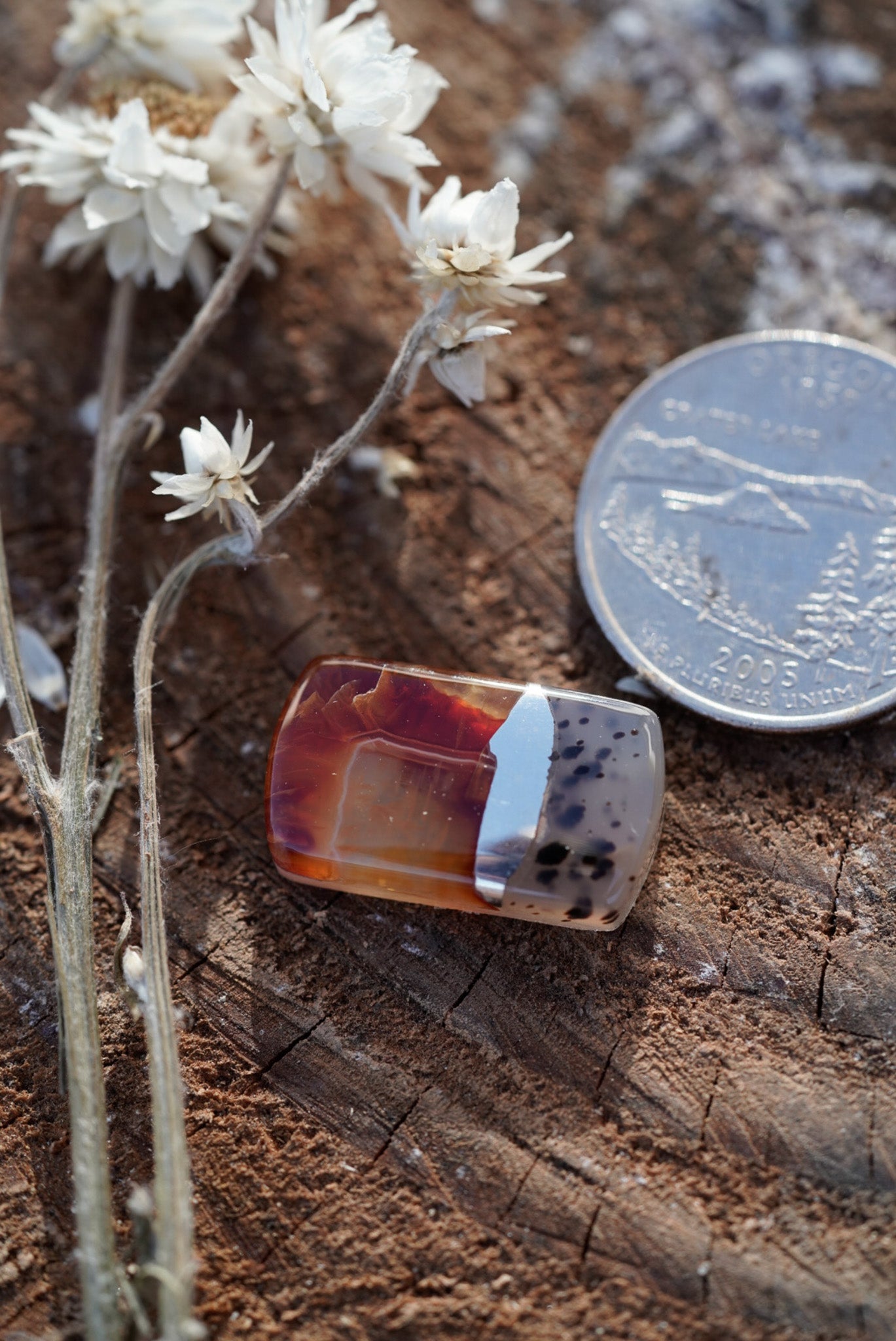 Kintarsia Cabochon - "Medium" No.6