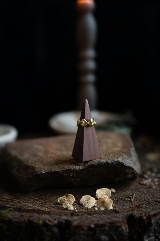 Unbound Ring 1 - Brass - Size 5.75