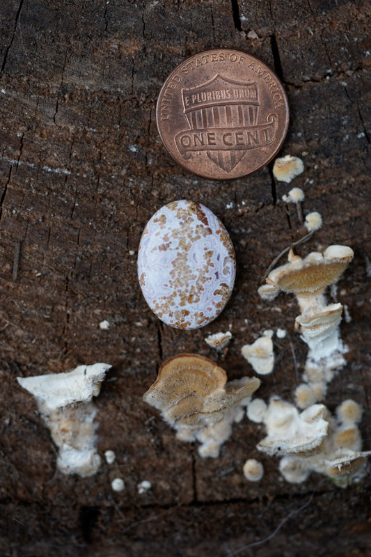 Calico Lace Agate Cabochon