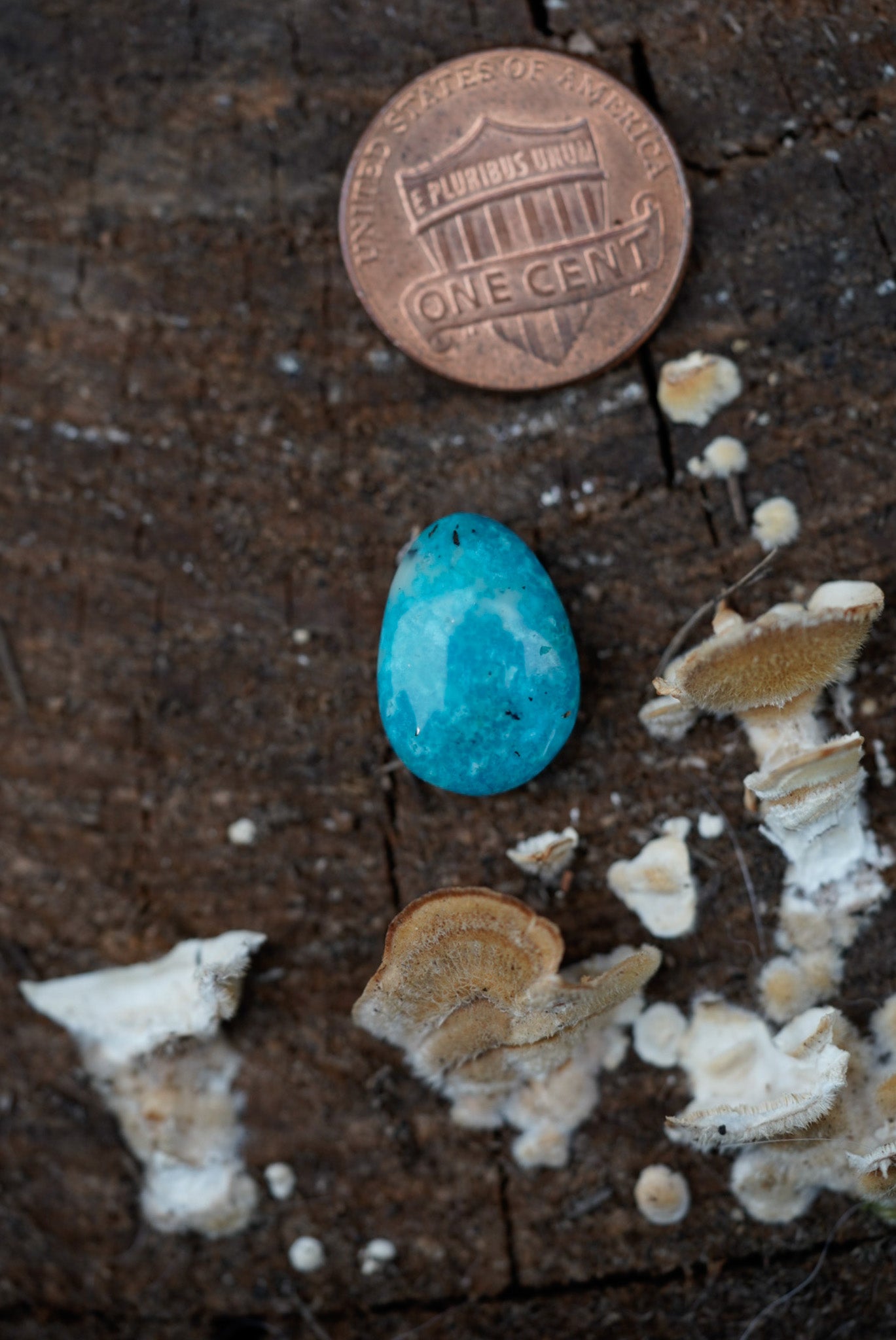 Turquoise Cabochon