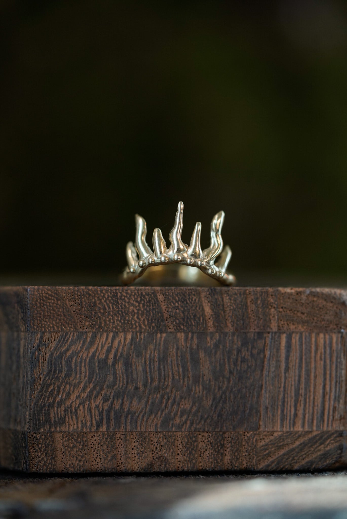 Crown of Chaos Ring - Brass Size 5.25